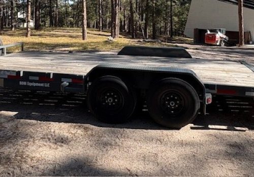 Buckshot 20